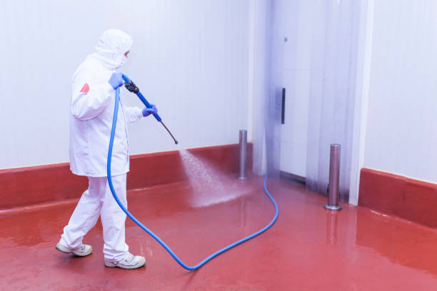 Best Sign and Awning Cleaning  in Manistee, MI